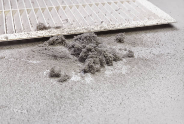 Best Professional Duct Cleaning Services  in Sauk Vlage, IL