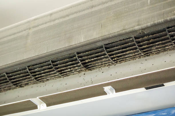 Best Air Duct Cleaning Near Me in Sauk Village, IL