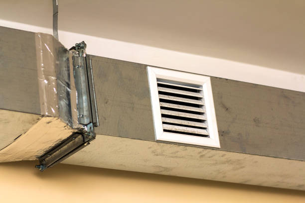 Best Local Air Duct Cleaning Services  in Sauk Vlage, IL